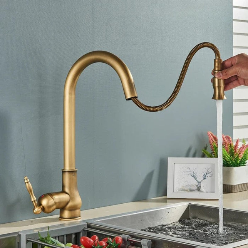 Antique style gold finish kitchen faucet. Elegant brass plumbing fixture with flexible spout.