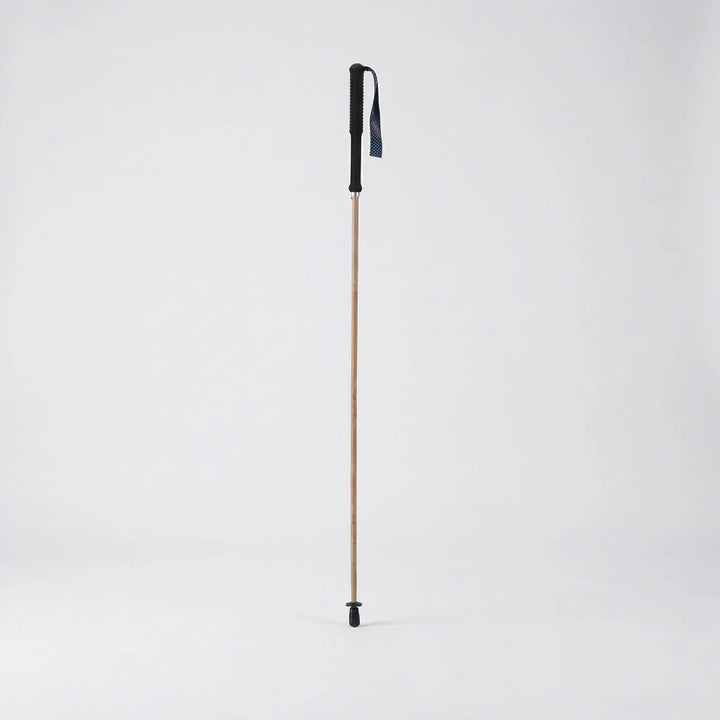 Collapsible trekking pole, perfect for travel & hiking. Ultra-light design, fits easily in backpacks for adventure.