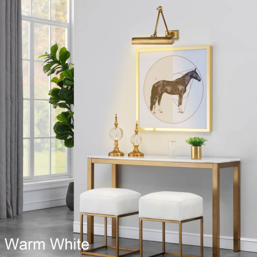 Elegant brass adjustable LED picture light for art displays. Dimmable modern home decor wall light.