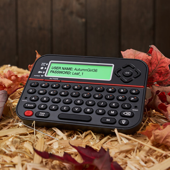 Secure offline password keeper vault, offering robust data protection with PIN access.