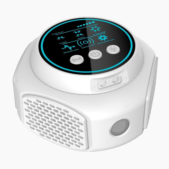 Pest Control Moth Killer Fogger for Home & Pantry