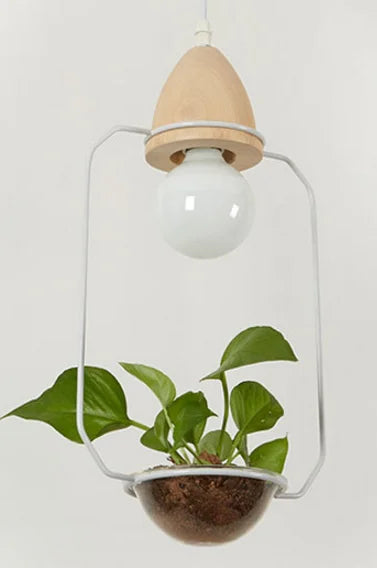 Rustic LED hanging light with natural wooden base, perfect for ambient lighting in homes & cafes.