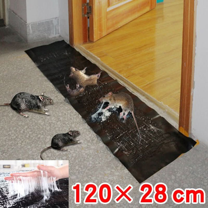 Versatile non-toxic sticky traps. Large adhesive sheets for effective indoor & outdoor mouse, rat, and insect control.