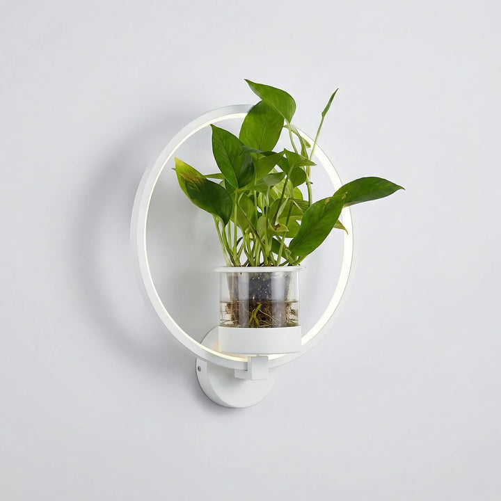 Elegant wall lamp & plant holder combo, offering ambient lighting and a touch of nature to your home decor.