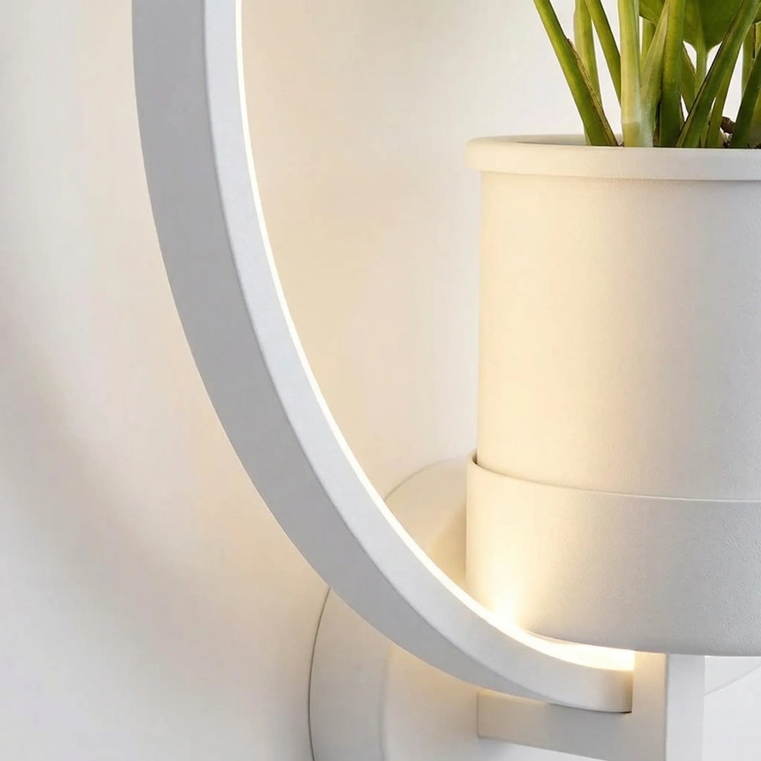 Compact decorative wall sconce with integrated planter, providing soft indoor lighting for any space.