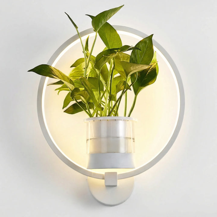 Home decor wall lamp featuring a plant holder, creating a warm ambient light and green accent.