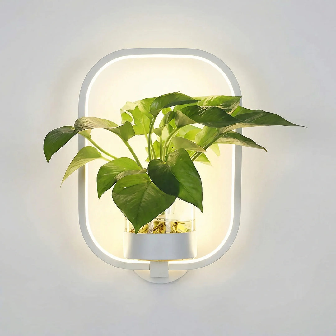 Decorative wall-mounted lamp with a built-in planter, ideal for displaying small plants & ambient lighting.