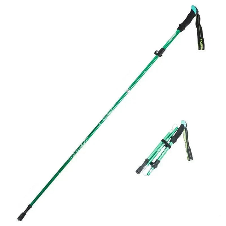 Trekking poles standing upright on a hiking trail, ready for adventure. Essential outdoor gear.