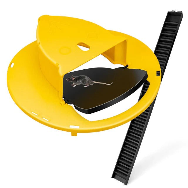 Efficient automatic multi-rodent bucket trap; catches mice & rats for pest control. Reusable, eco-friendly.