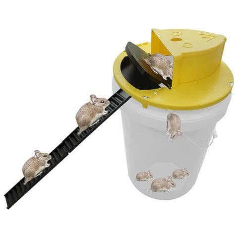 TavvitaImp012 automatic multi-rodent bucket trap for mice & rats. Eco-friendly, reusable home pest control.