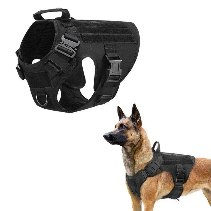 Versatile no-pull training harness vest for small to extra-large dogs; ideal for daily walks.