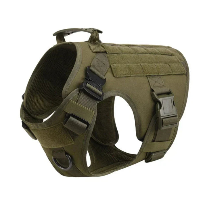 No-pull dog training harness vest for all breeds, adjustable & comfortable for safe dog walking.