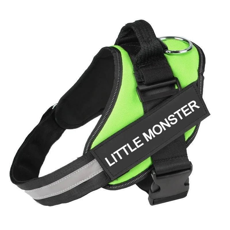 Customizable No Pull Dog Harness with Comfort Fit - Lexians