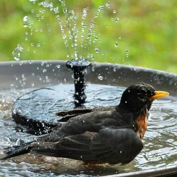 Solar floating fountain pump enhancing garden pond & birdbath decor. No electricity needed, creates a backyard oasis.