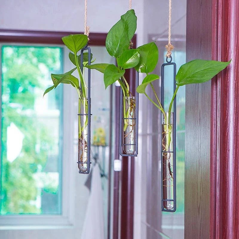 Borosilicate glass wall planter with natural jute rope for stylish indoor plant propagation station.