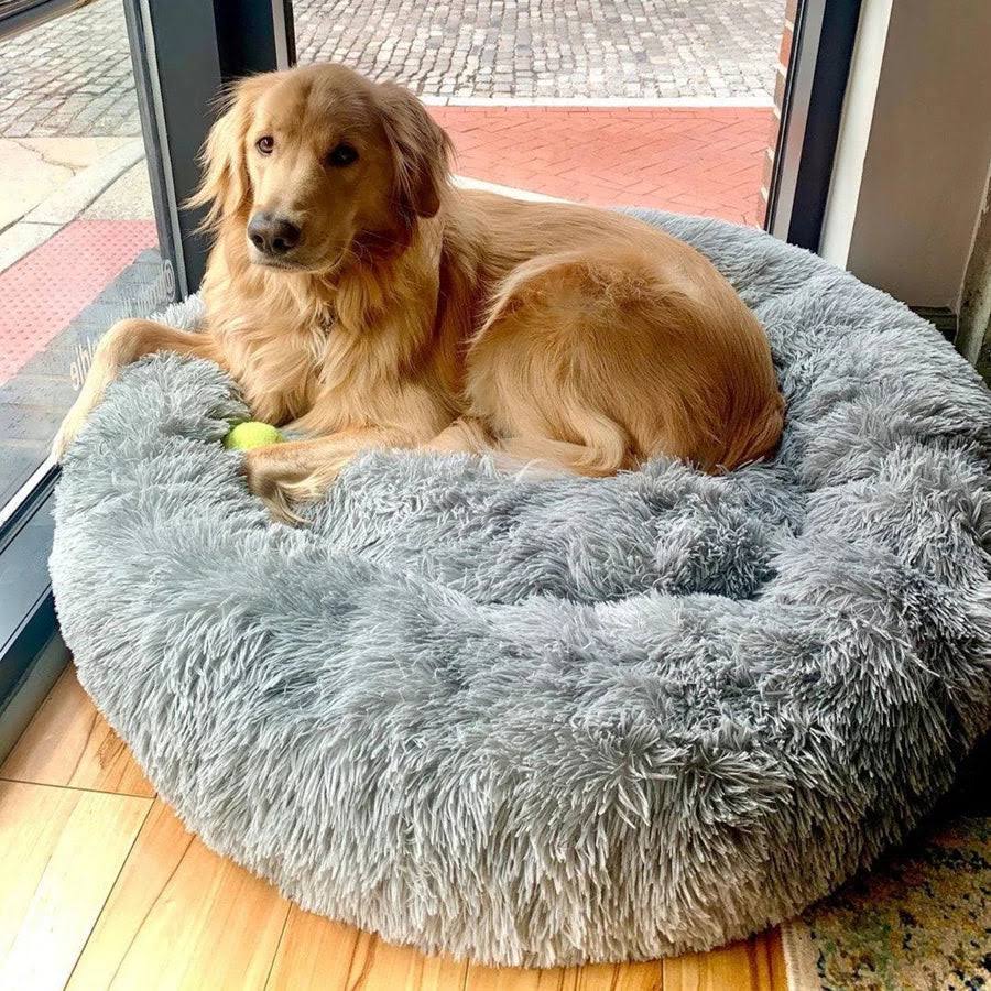 Orthopedic Calming Dog Bed with Memory Foam Support - Lexians