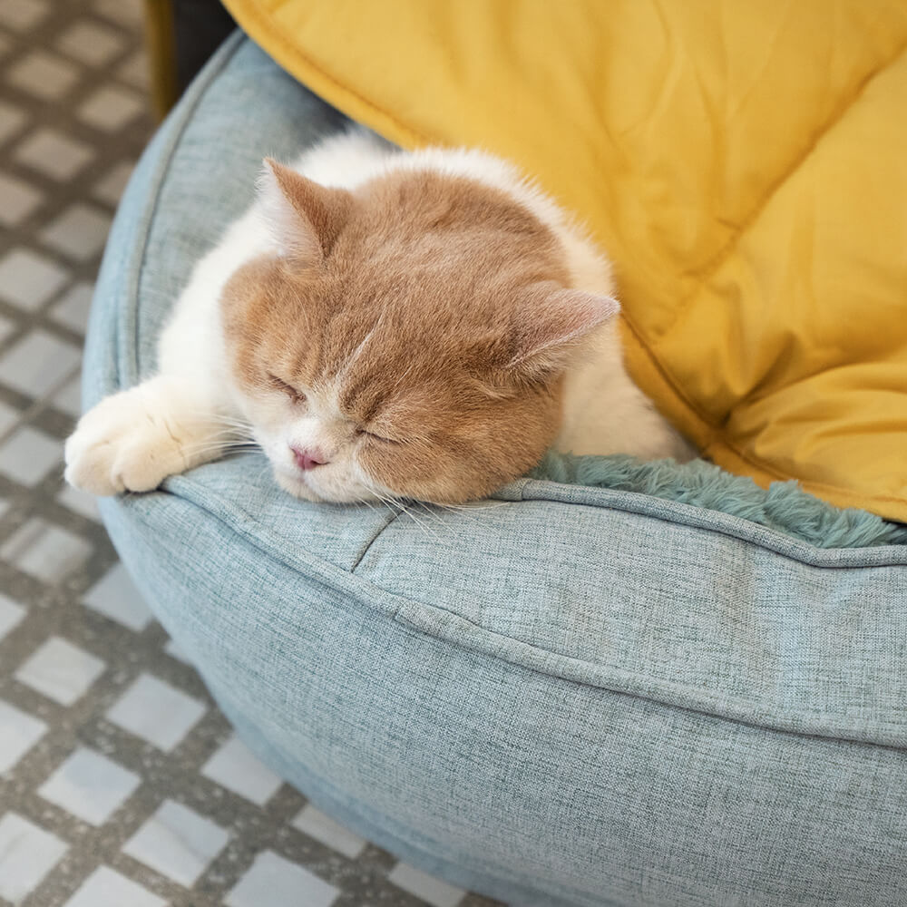 Orthopedic Donut Dog Bed with Anti - Slip and Waterproof Features - Lexians
