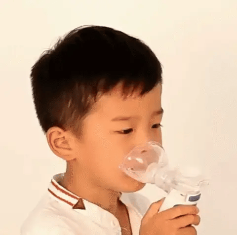 Compact ultrasonic nebulizer. Handheld device offers respiratory relief for asthma, bronchitis, allergies.
