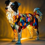 Border Shepherd Dog
