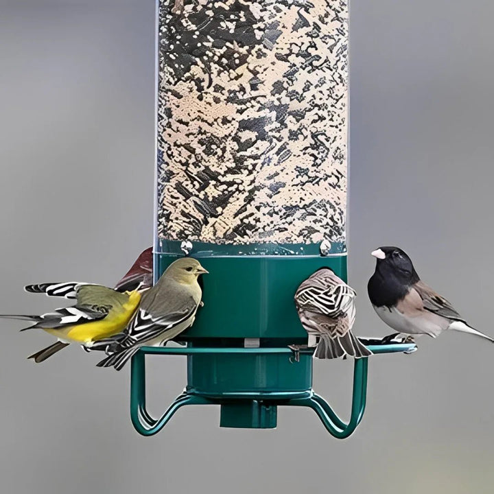 Squirrel Proof Bird Feeder with Anti - Squirrel Design - Lexians