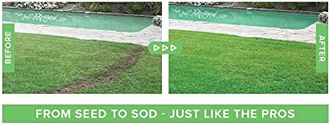 Hydroseeding grass seed spray for quick lawn growth, repairs bare spots easily. Ideal home garden care.