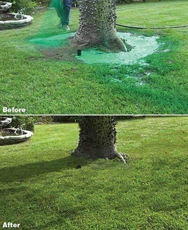 TavvitaImp010 grass seed spray, a liquid lawn care solution for a beautiful, vibrant, fast-growing home garden.