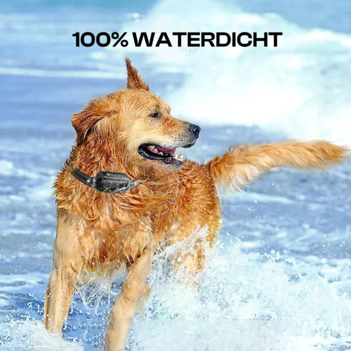 Waterproof electric dog training collar with remote, ideal for outdoor pet obedience and long-range training.