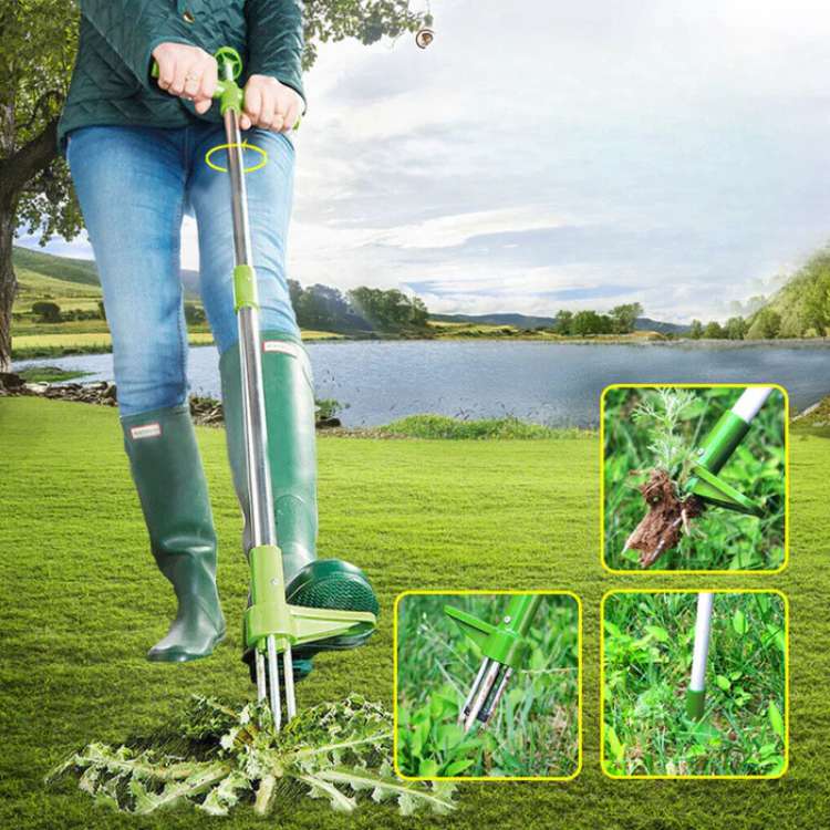 Upright garden weed puller tool, standing, for easy root removal & efficient lawn care. Durable manual weeder.