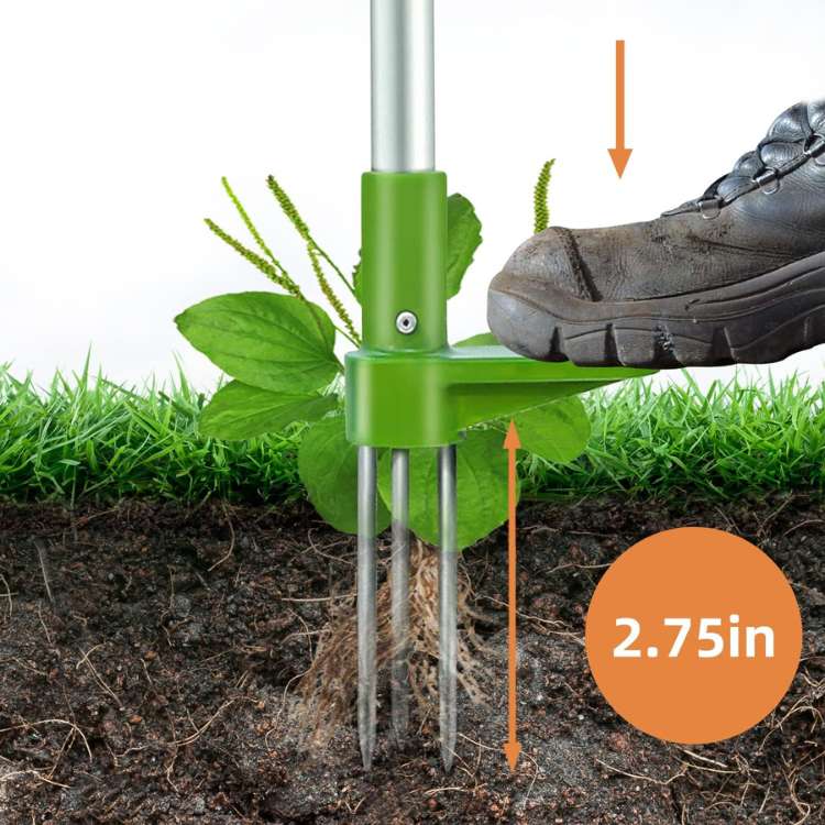 Manual upright weed puller tool for gardeners, removing taproots without bending. Ideal for yard work & lawn care.