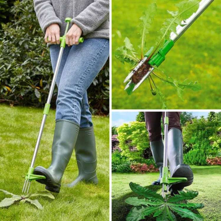 Tall upright garden weed puller with ergonomic handle, making root removal easy for any gardener. Outdoor yard tool.