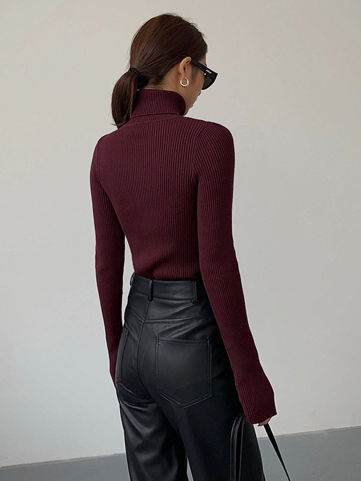 Black ribbed knit turtleneck sweater for women, a versatile long sleeve top suitable for elegant or casual spring.
